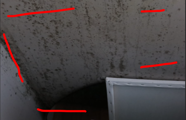 Diagnostic humidité bâtiment : quand les murs racontent une histoire qu'on préfère ignorer