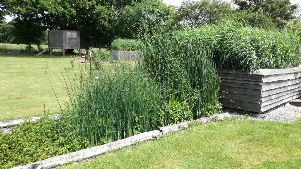Système de phytoépuration aménagé en paliers sur terrain en pente avec bassins filtrants à différents niveaux